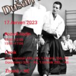 2023.06.17 Seminář aikido, Dušan Dresig 6.dan